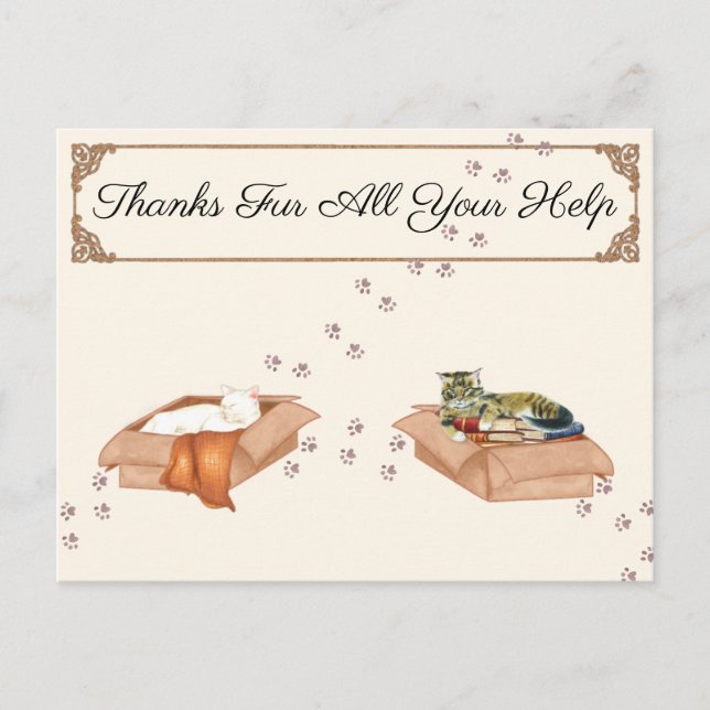 Postal Gracias Por Toda Su Ayuda! Gatos En Cajas, Gratitu (Anverso)