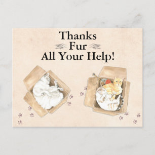 Postal ¡Gracias Por Toda Tu Ayuda! Gatos en cajas, gracia