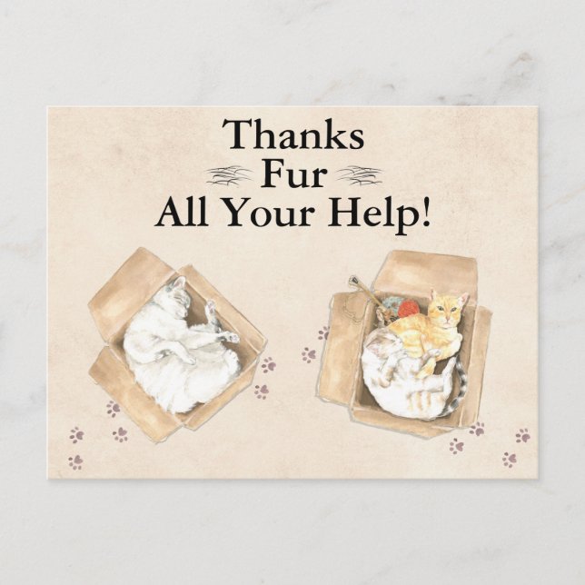 Postal ¡Gracias Por Toda Tu Ayuda! Gatos en cajas, gracia (Anverso)