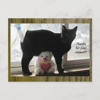 Postal Gracias por tu apoyo al gato negro y al osito de p