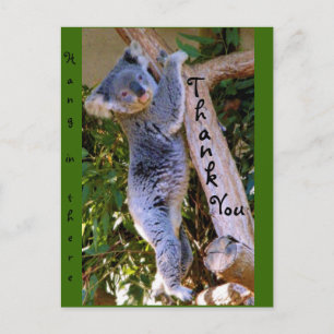 Postal Gracias_ Postcard