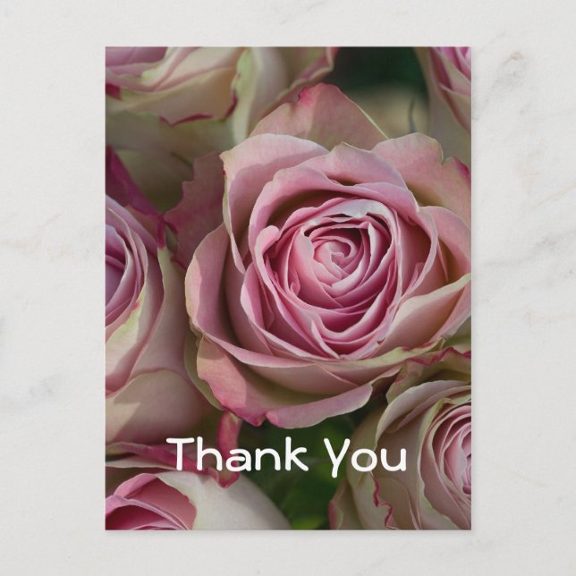 Postal Gracias Postcard (Anverso)