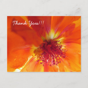 Postal Gracias Postcard con flor naranja