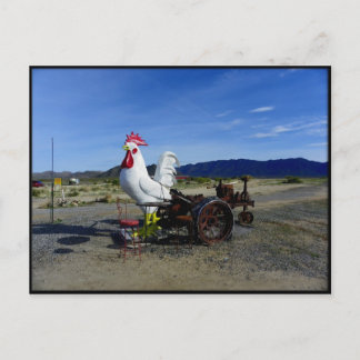 Postal Gracias Ragnar Relay Race 2010