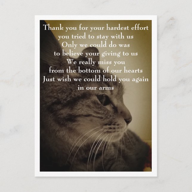 Postal Gracias & RIP  (Anverso)