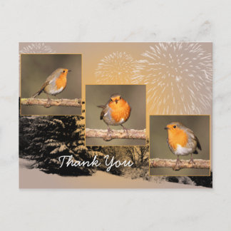 Postal Gracias Robin Tryptych Postcard