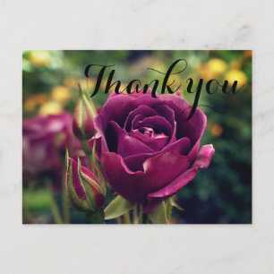 Postal Gracias Rosa de Iceberg de Borgoña #1 Postcard
