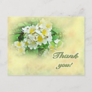 Postal Gracias Rosas Multiflora