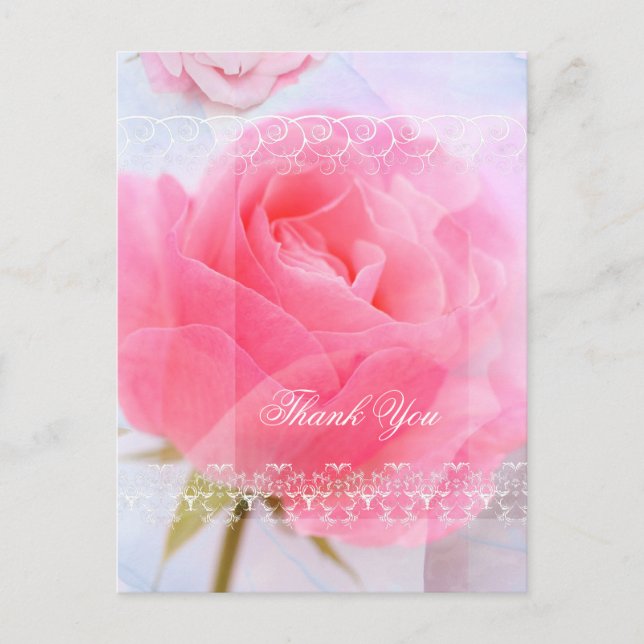 Postal Gracias, rosas rosadas en azul (Anverso)