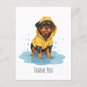 Postal Gracias Rottweiler con impermeable
