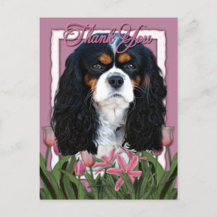 Postal Gracias - Tulipanes rosados - Cavalier - Tri-Color