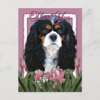 Postal Gracias - Tulipanes rosados - Cavalier - Tri-Color