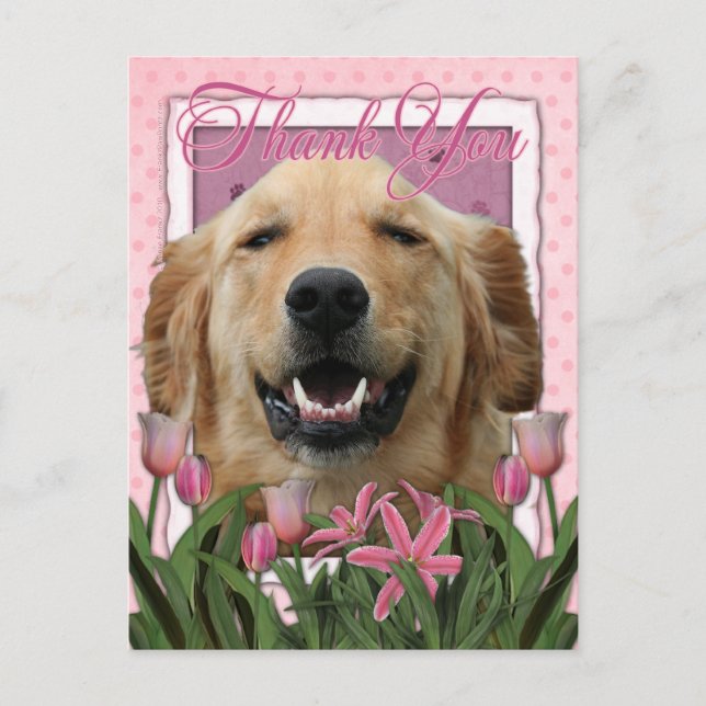 Postal Gracias - Tulipanes rosados - Golden Retriever - M (Anverso)