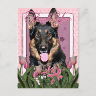 Postal Gracias - Tulipanes rosados - Pastor alemán - Kuno
