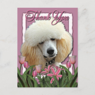 Postal Gracias - Tulipanes rosados - Poodle - Apricot