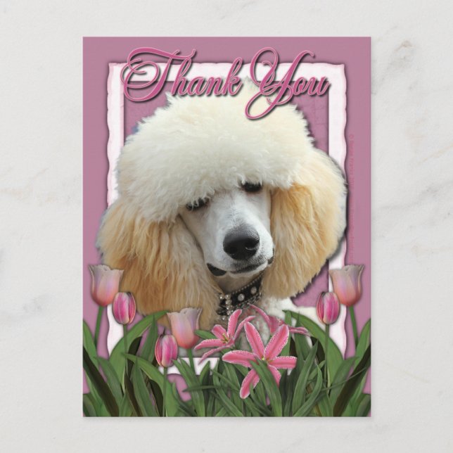 Postal Gracias - Tulipanes rosados - Poodle - Apricot (Anverso)