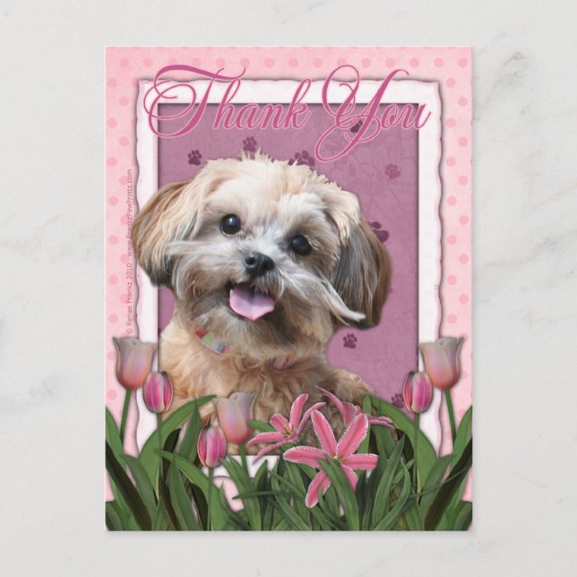 Postal Gracias - Tulipanes rosados - ShihPoo - Maggie (Anverso)
