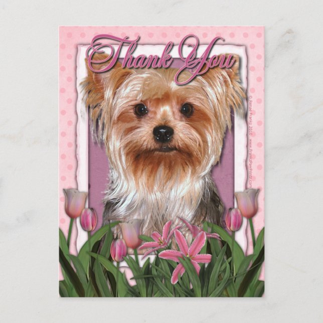 Postal Gracias - Tulipanes rosados - Yorkshire Terrier (Anverso)