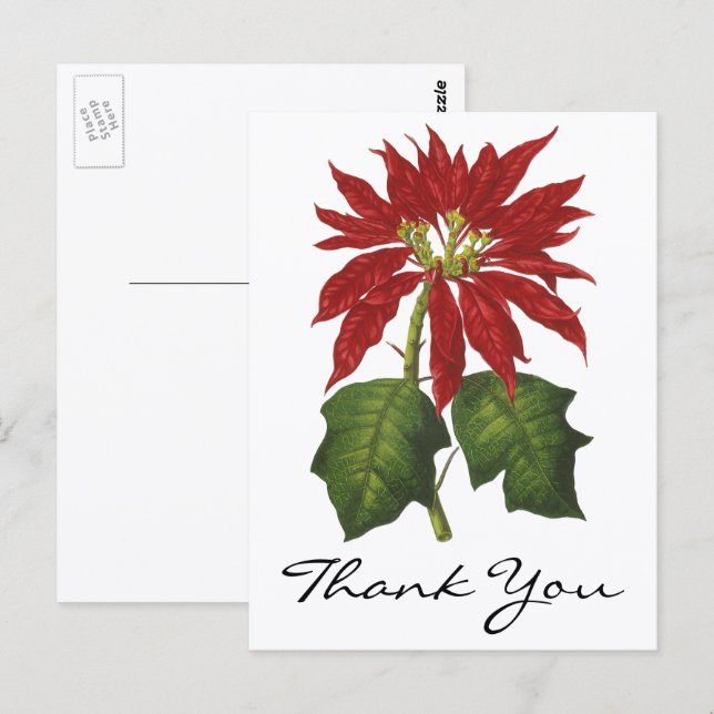 Postal Gracias Vintage de Navidad (Anverso / Reverso)