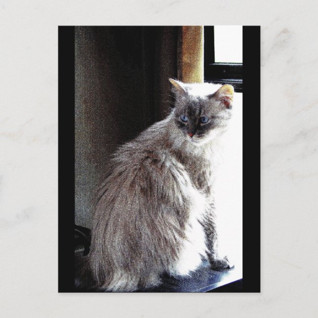 Postal Gracie (Anverso)