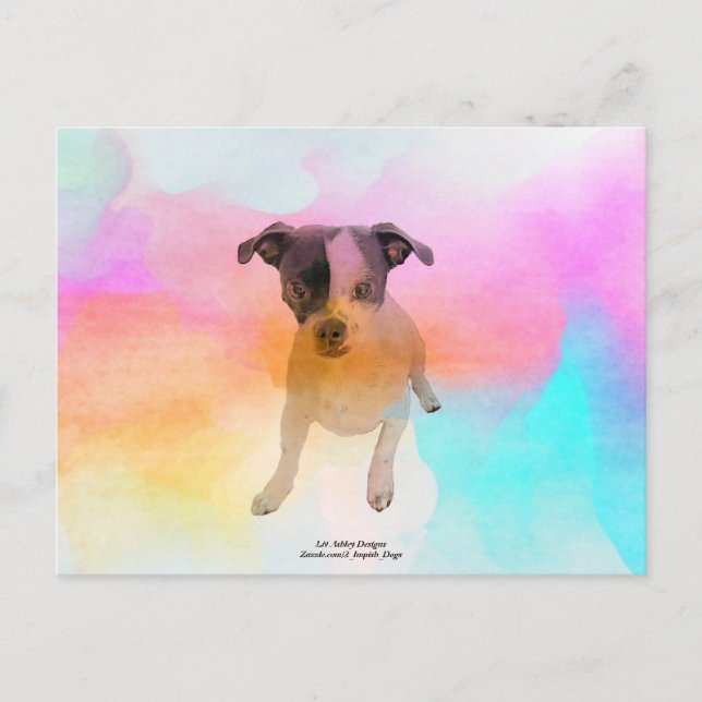Postal Gracie Disco Blank Postcard (Anverso)