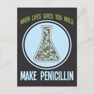Postal Graciosa ciencia bacterias Humor Mold Make Penicil