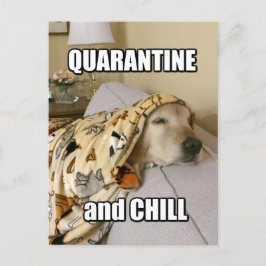 Postal Graciosa cuarentena de Golden Retriever y Chiste d