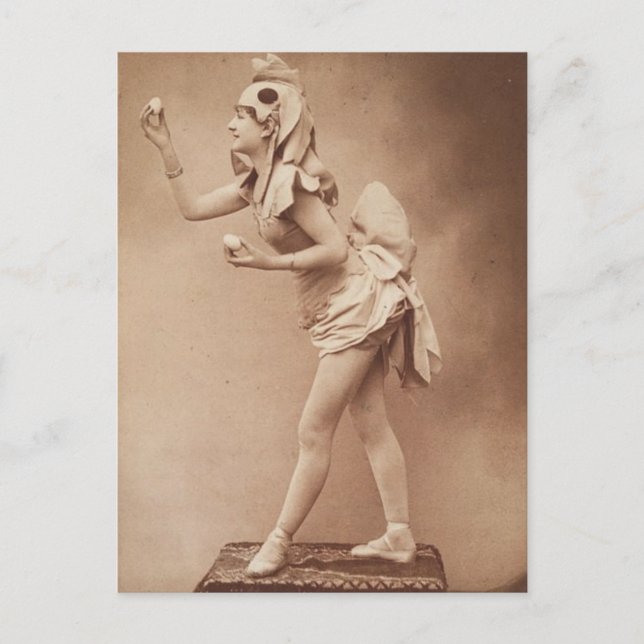 Postal Graciosa fotografía de cosecha de pollo (Anverso)