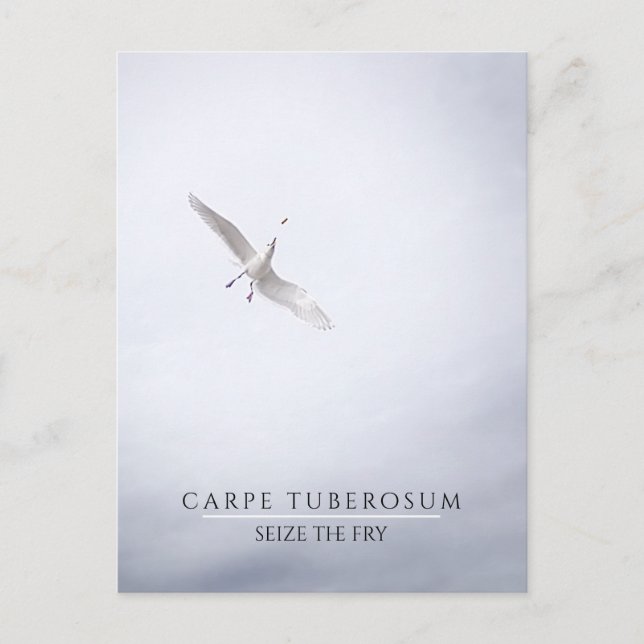 Postal Graciosa gaviota motivadora Carpe Diem Fries Franc (Anverso)