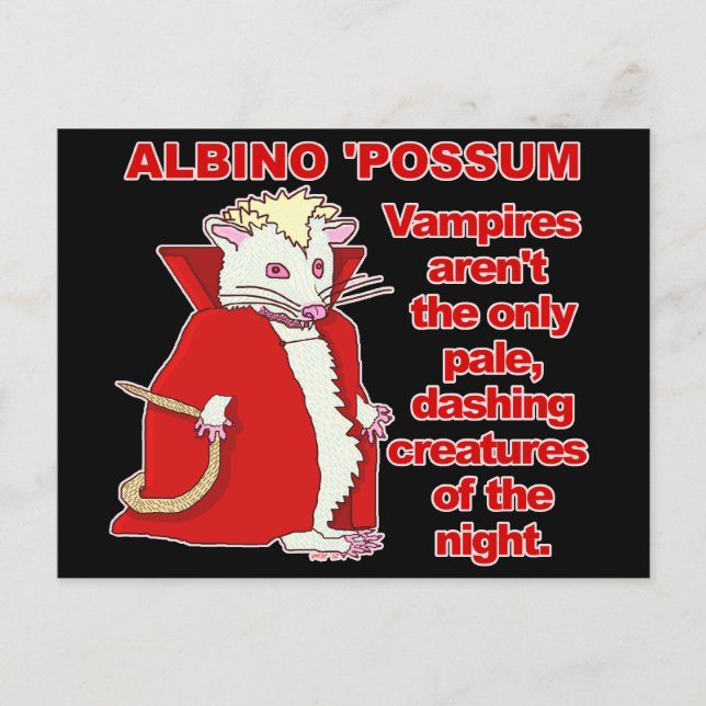 Postal Gracioso animal de vampiro Albino Possum (Anverso)