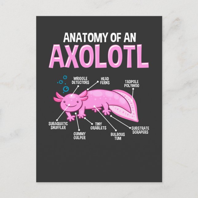 Postal Gracioso Axolotl Anatomía Biología Cute Anfibio (Anverso)