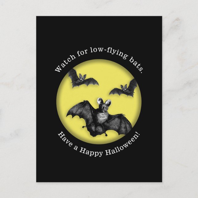 Postal Gracioso Bats con Bajo Volante Feliz Halloween (Anverso)
