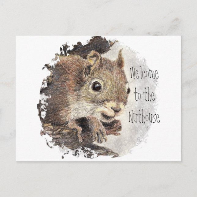Postal Gracioso, bienvenido al Nuthouse, Squirrel, Animal (Anverso)