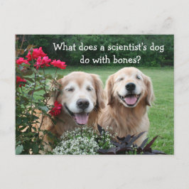Postal Gracioso Chiste Científico Bario de Golden Retriev