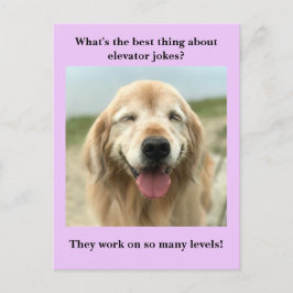 Postal Gracioso Chiste elevador de perro de Golden Retrie