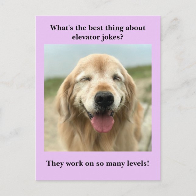 Postal Gracioso Chiste elevador de perro de Golden Retrie (Anverso)
