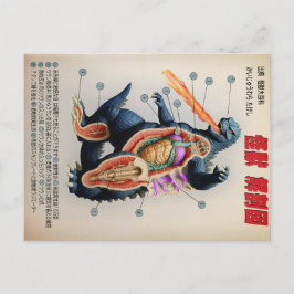 Postal Gracioso diagrama anatómico japonés de Kaiju