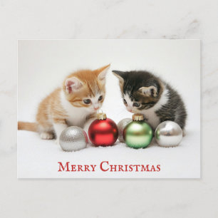 Postal Gracioso Feliz Navidad Gato Gato Gatito