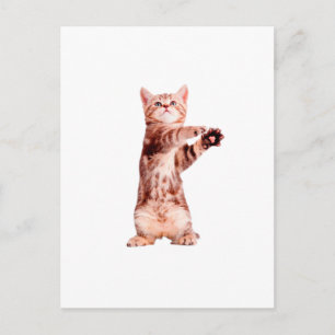 Postal Gracioso gatito juguetón