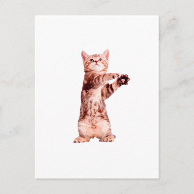 Postal Gracioso gatito juguetón (Anverso)