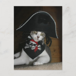Postal Gracioso gato pirata