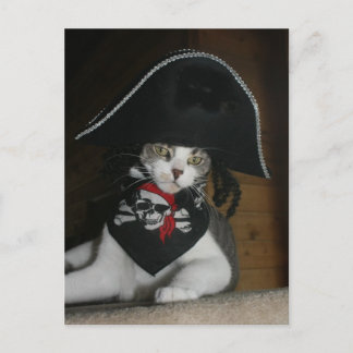 Postal Gracioso gato pirata