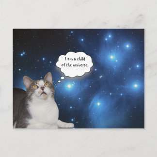Postal Gracioso Gato Star Gazer