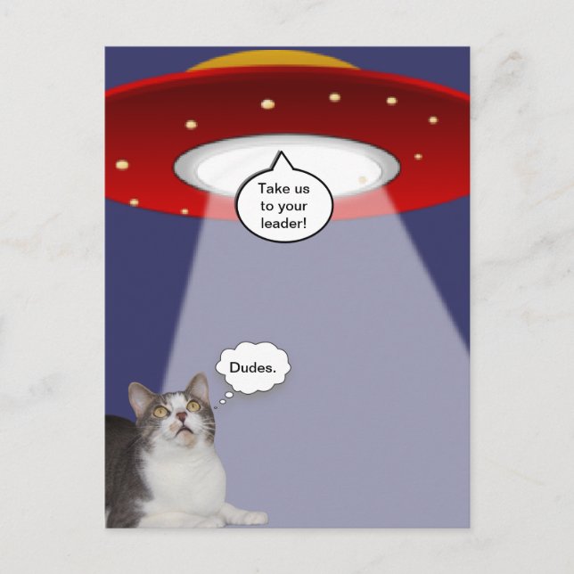 Postal Gracioso gato y nave espacial (Anverso)