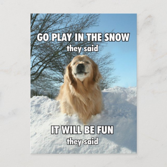 Postal Gracioso Golden Retriever Go Play en el meme de la (Anverso)