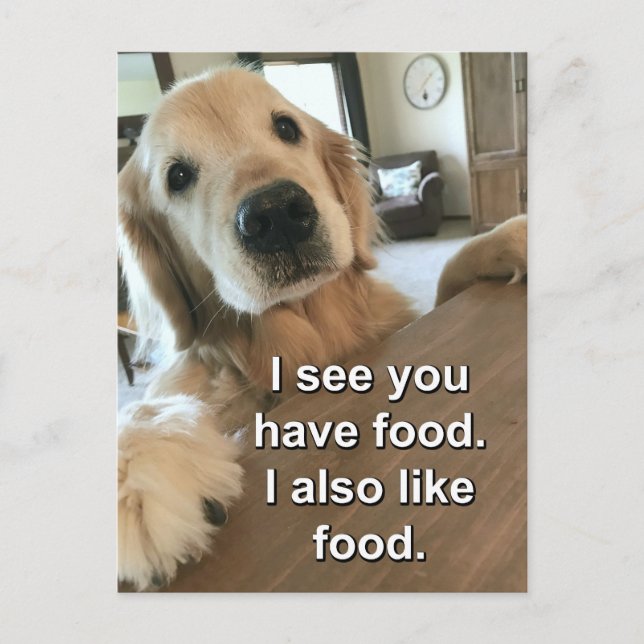 Postal Gracioso Golden Retriever I See You Have Food Meme (Anverso)
