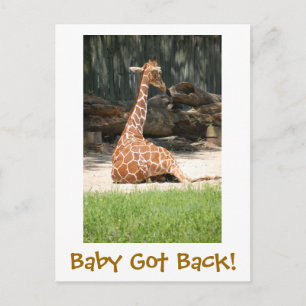 Postal Gracioso Humorístico