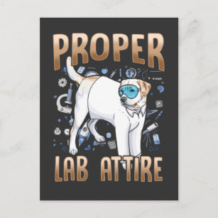 Postal Gracioso Labrador Recuperador De Ciencia De Químic