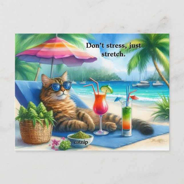 Postal Gracioso lema del gato Kitty en la playa (Anverso)