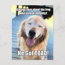 Postal Gracioso meme de Chiste de Rana Golden Retriever